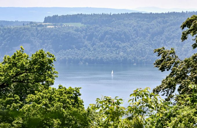 Der Bodensee. bodensee
