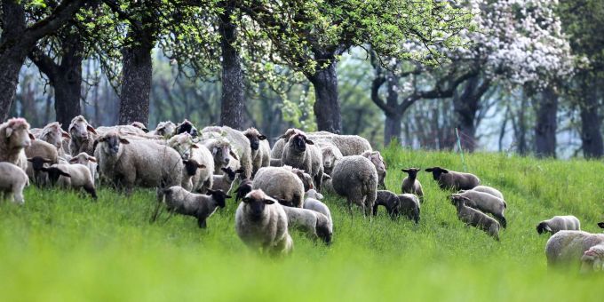 Offenbach - Wetter in Deutschland zweigeteilt