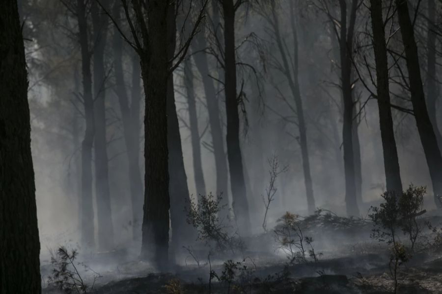 Auch in Spanien sind mehrere tausend Hektar Wald verbrannt.