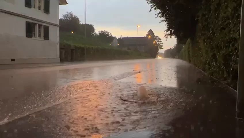 20220805-whatsapp-video-2022-08-05-at-19