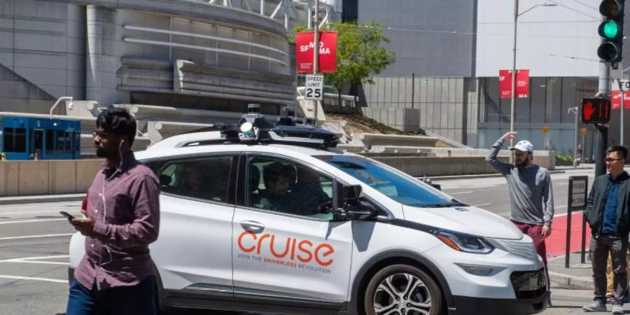 Cruise