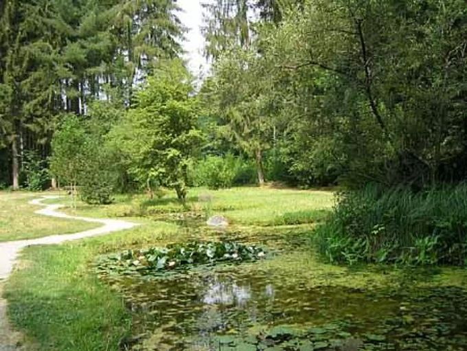 Stolz ist Wolfwil auch auf das eigene Waldbiotop der Bürgergemeinde. Lindemann Georg Wolfwil