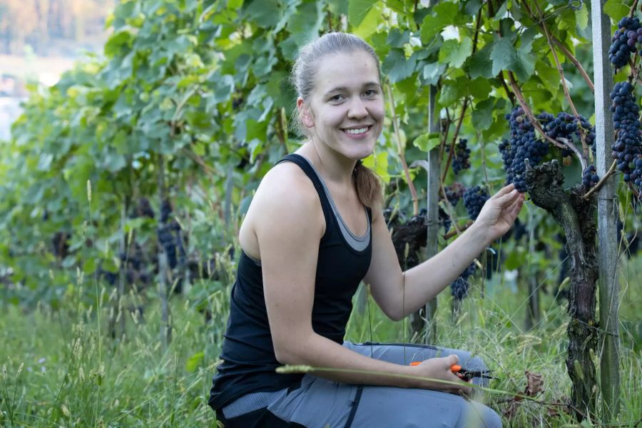 Das Team von Vignerons de Berne: Claudia Riem.