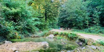 Chäppeligraben wurde revitalisiert