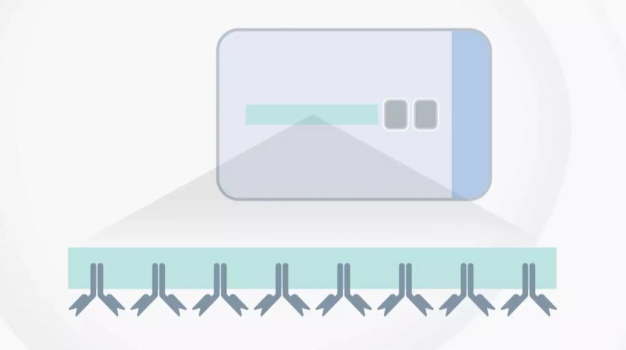 Auf einem Teststreifen finden sich spezifische Antikörper gegen das Coronavirus.