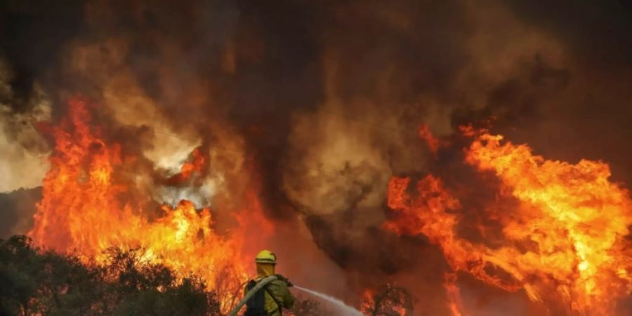 Waldbrand nahe San Diego