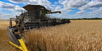 Nach Bauernprotesten - Polen verbietet Getreideimporte aus der Ukraine