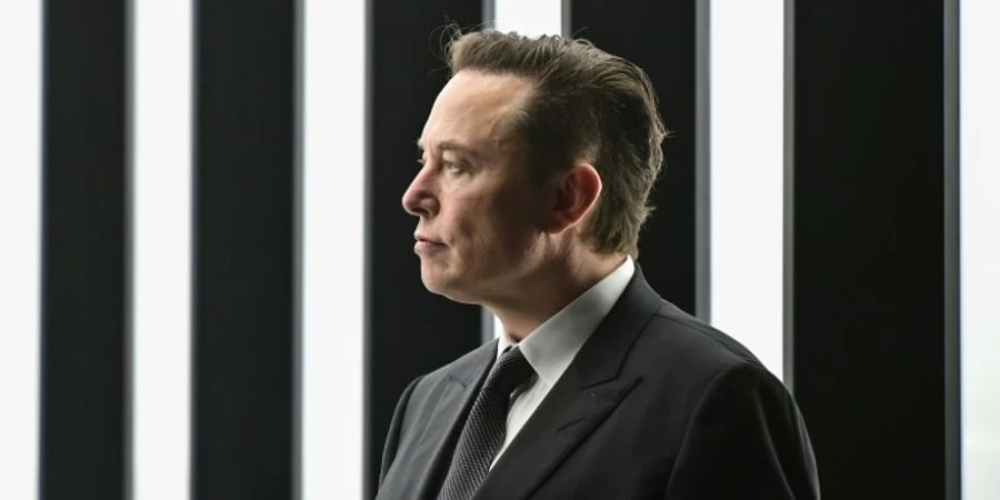 High-Tech-Unternehmer Elon Musk verdiente sein Geld ursprünglich mit Paypal.