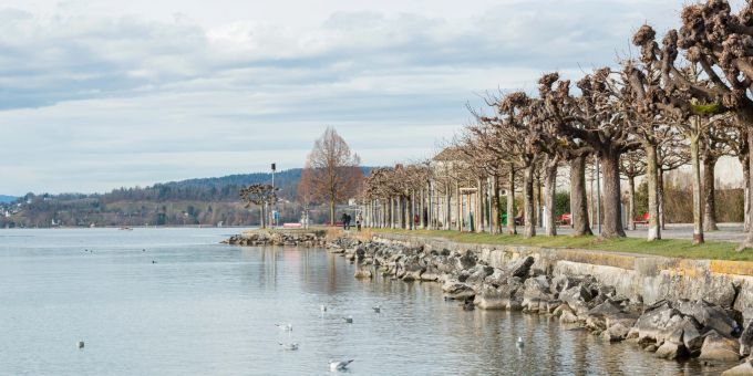 Die Bühlerallee am See Quai in Rapperswil-Jona. Die Bühlerallee am See Quai in Rapperswil-Jona.