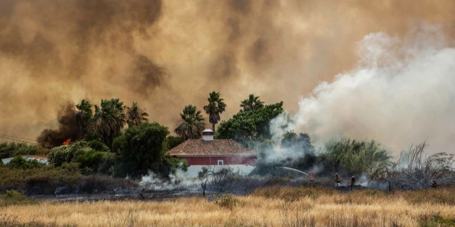 Brand in der Gegend von Ludo, Faro, Algarve, Südportugal, 13. Juli 2022.