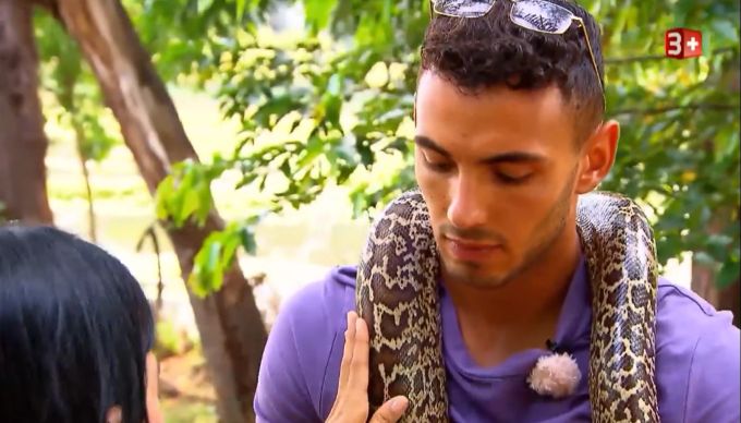 Die Bachelorette: Die Schlange fand die Wahrheit über Yuri heraus. Die Bachelorette