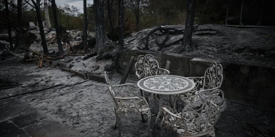Verwüstung nach Waldbrand in der Gironde