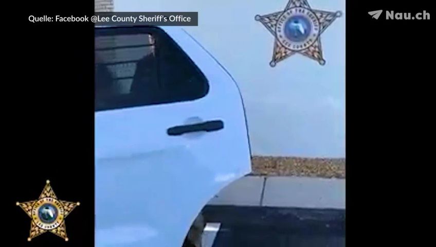 sheriff