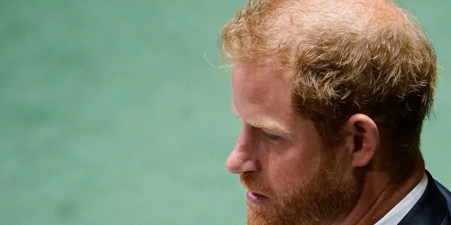 Prinz Harry will Schutz für sich und seine Familie bei Besuchen in der alten Heimat.
