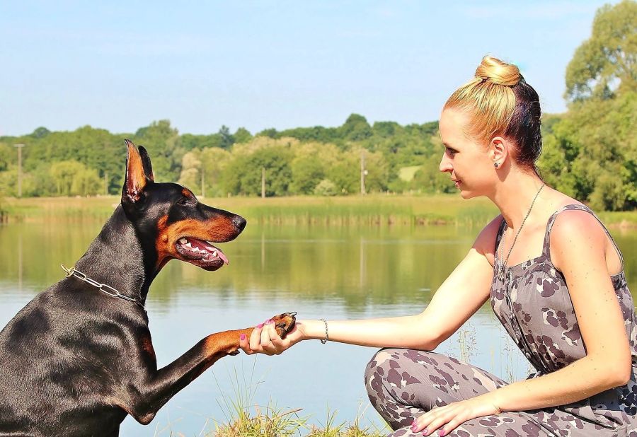 Dobermann Hund Pfötchen Frau See