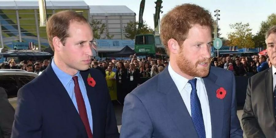 Prinz Harry und Prinz William.