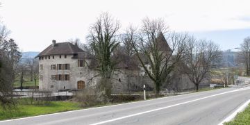 Schloss Hallwyl Seengen