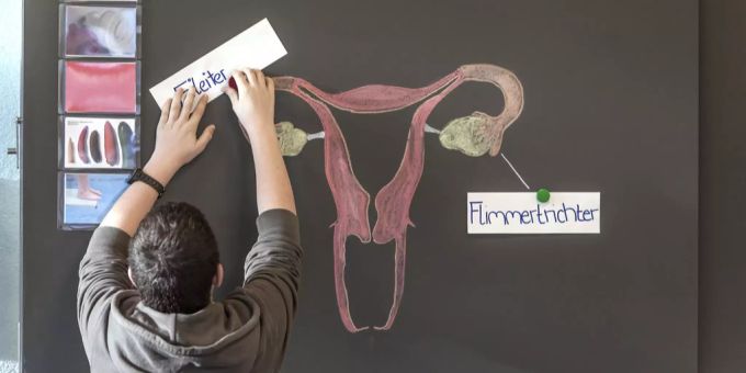 Ein Schüler im Sexualkundeunterricht. (Symbolbild) gebärmutterhalskrebs