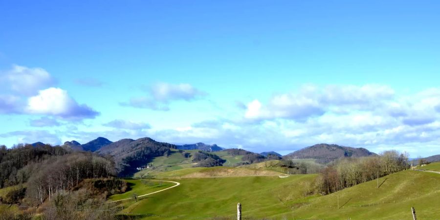 Froburg Ausflüge Niederamt