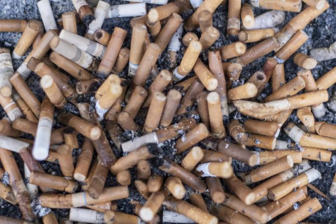 Untersucht wurden insbesondere Krebsarten, welche durch Alkoholkonsum oder das Rauchen gefördert werden. krebsarten