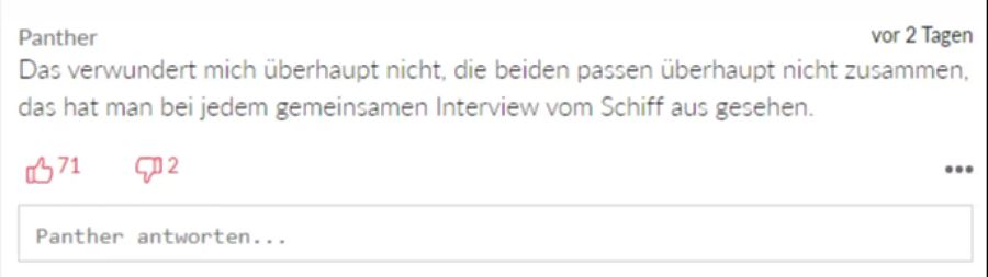 Die beiden hätten überhaupt nicht zusammengepasst, ist sich «Panther» sicher.