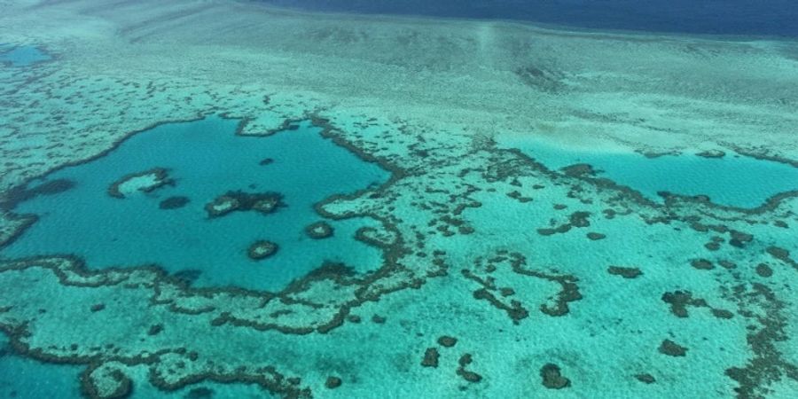 Luftbild des Great Barrier Reef von 2014