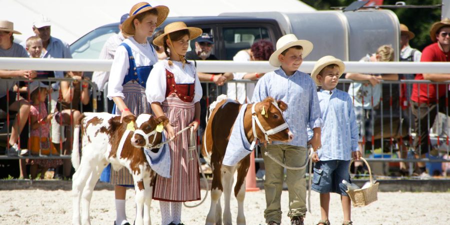 Kinder mit Kühen