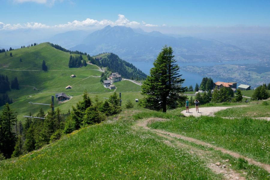 Rigi Wanderung Königin