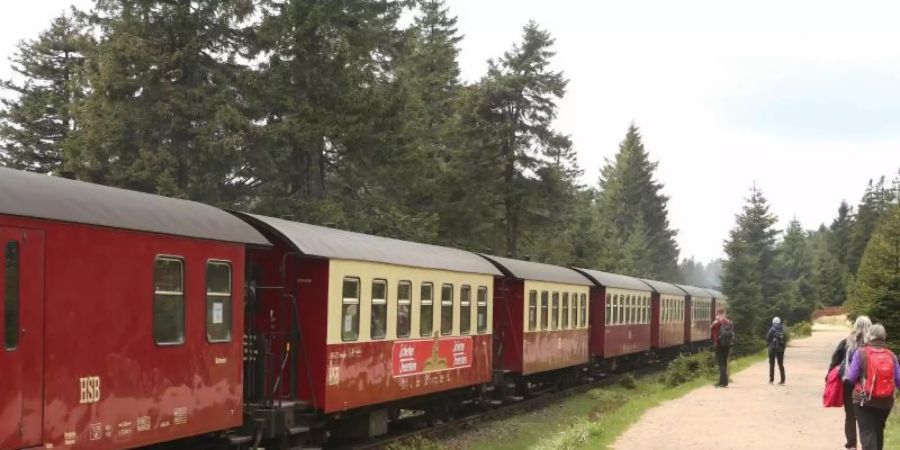 Das Netz der Harzer Schmalspurbahnen umfasst insgesamt ein Schienennetz von rund 105 Kilometern. Foto: Matthias Bein/dpa-Zentralbild/ZB/Archiv