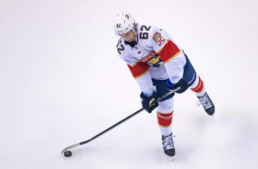 Dennis Malgin spielt bei den Florida Panthers.