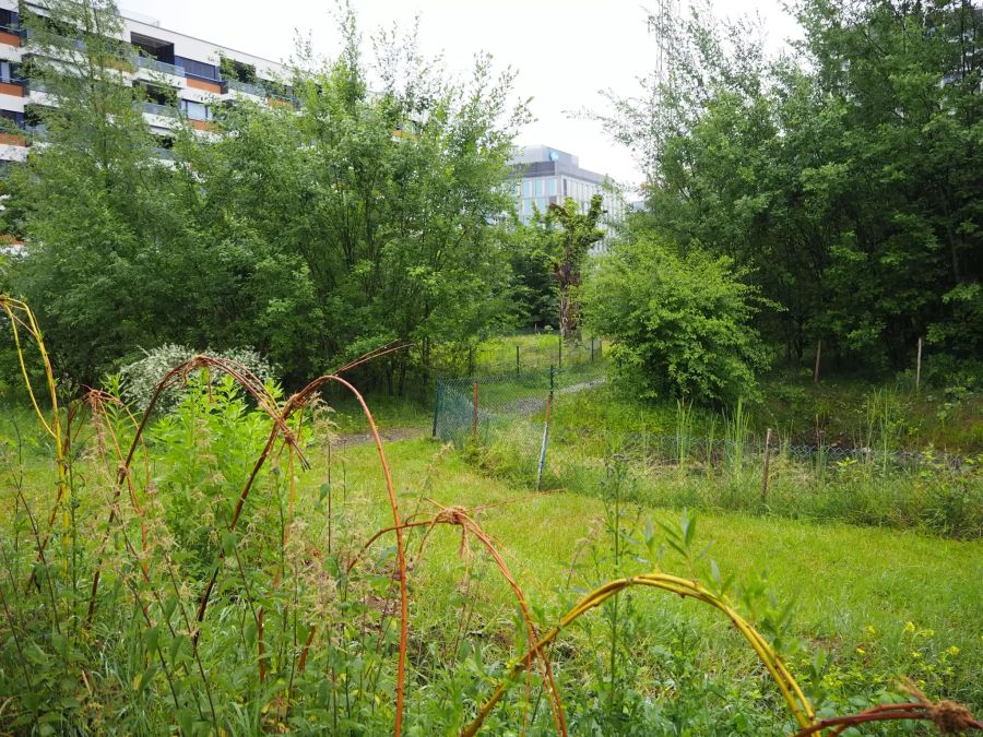 Glattpark