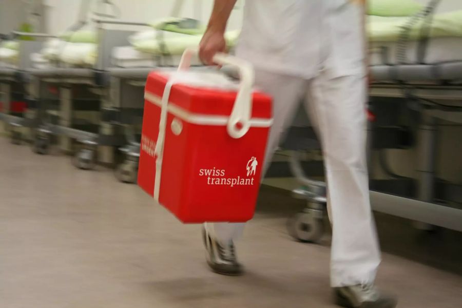 Transport einer Organspende