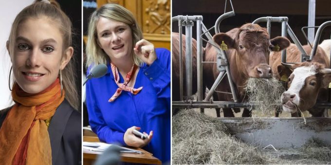 «Wäre ehrlicher» - Öko-Politikerinnen wollen Selbstversorgung senken