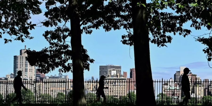 Der Central Park in New York