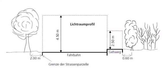 Vorgaben zum Zurückschneiden der Bäume und Hecken. Bäume schneiden