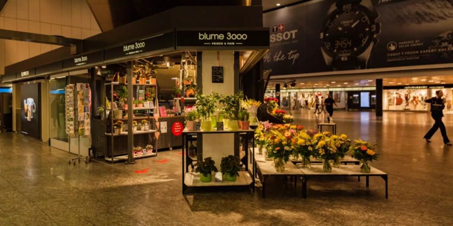 Blume 3000.