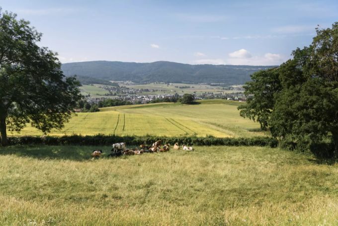 Der Jura grenzt an Frankreich. Das wirkt sich auch auf die Corona-Zahlen aus. Jura Frankreich