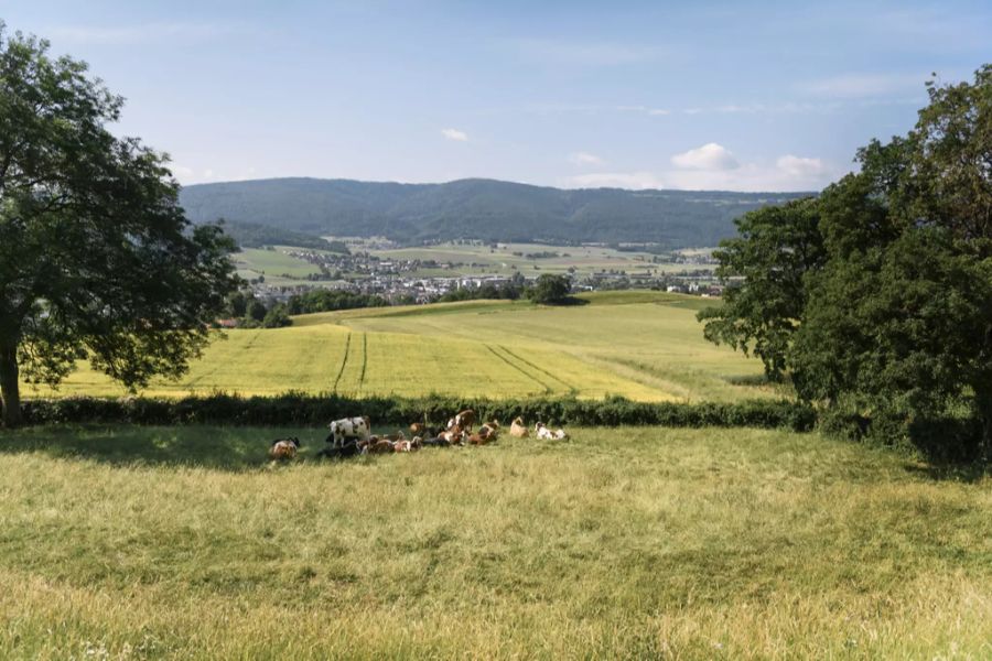 Jura Frankreich