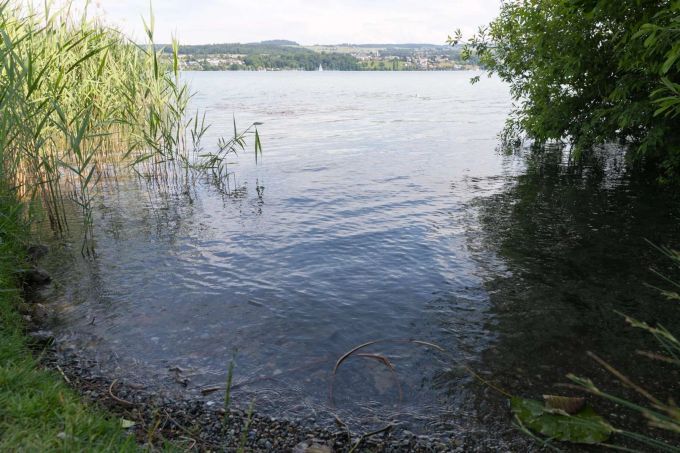 Boniswiler Ried, Boniswil