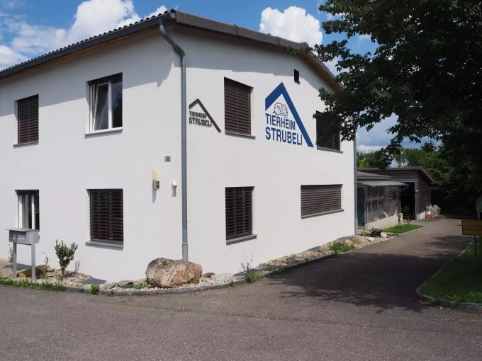 Das Tierheim Strubeli befindet sich an der Büelstrasse in Hegnau. Tierheim Strubeli