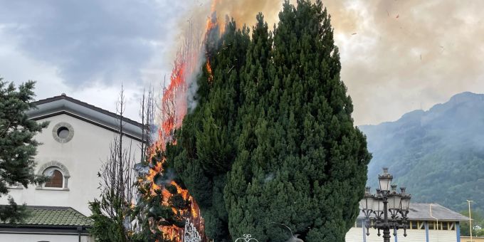 Rüthi: Brand von Zypressen. Brand von Zypressen.