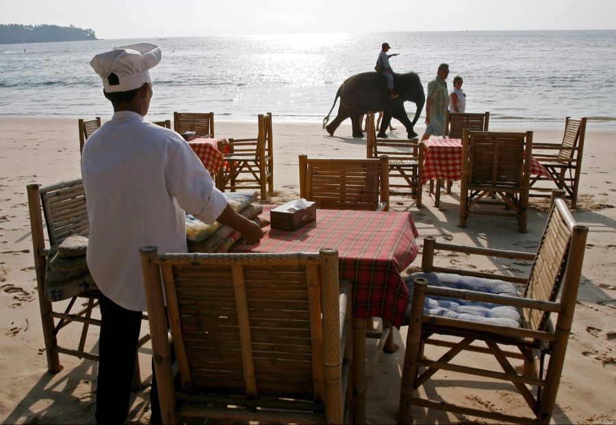 Besonders beliebt sind beispielsweise Reisen nach Thailand.