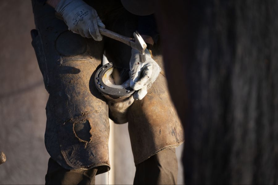 In seiner Werkstatt sei ein Berg gebrauchter Hufeisen zurückgeblieben, schreibt der Absender. Diese habe er nicht einfach liegen lassen wollen.