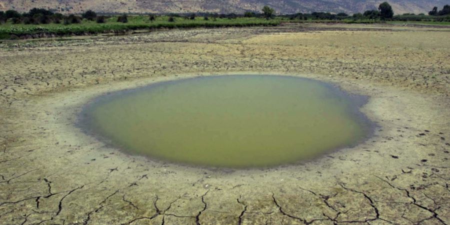 Jugendliche fürchten den Klimawandel weniger – obwohl Europa immer öfter von Hitzewellen, Dürren und Waldbränden getroffen wird. (Symboldbild)