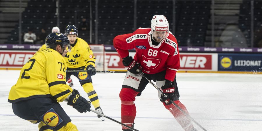 SC Rapperswil-Jona Lakers