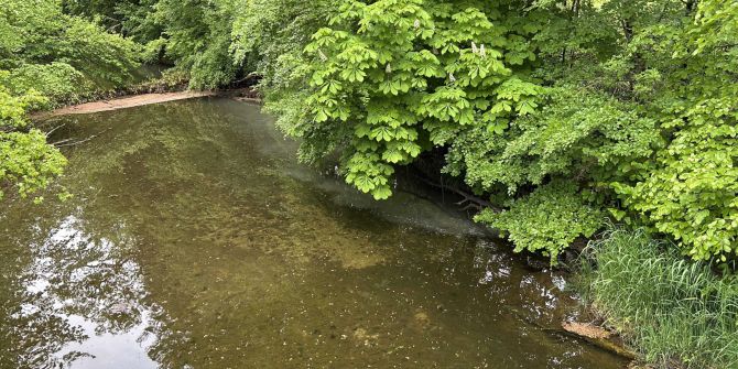 Trübung im Martinsbrünnelibach