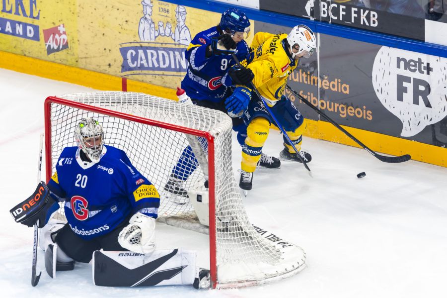 Fribourg-Gottéron HC Davos