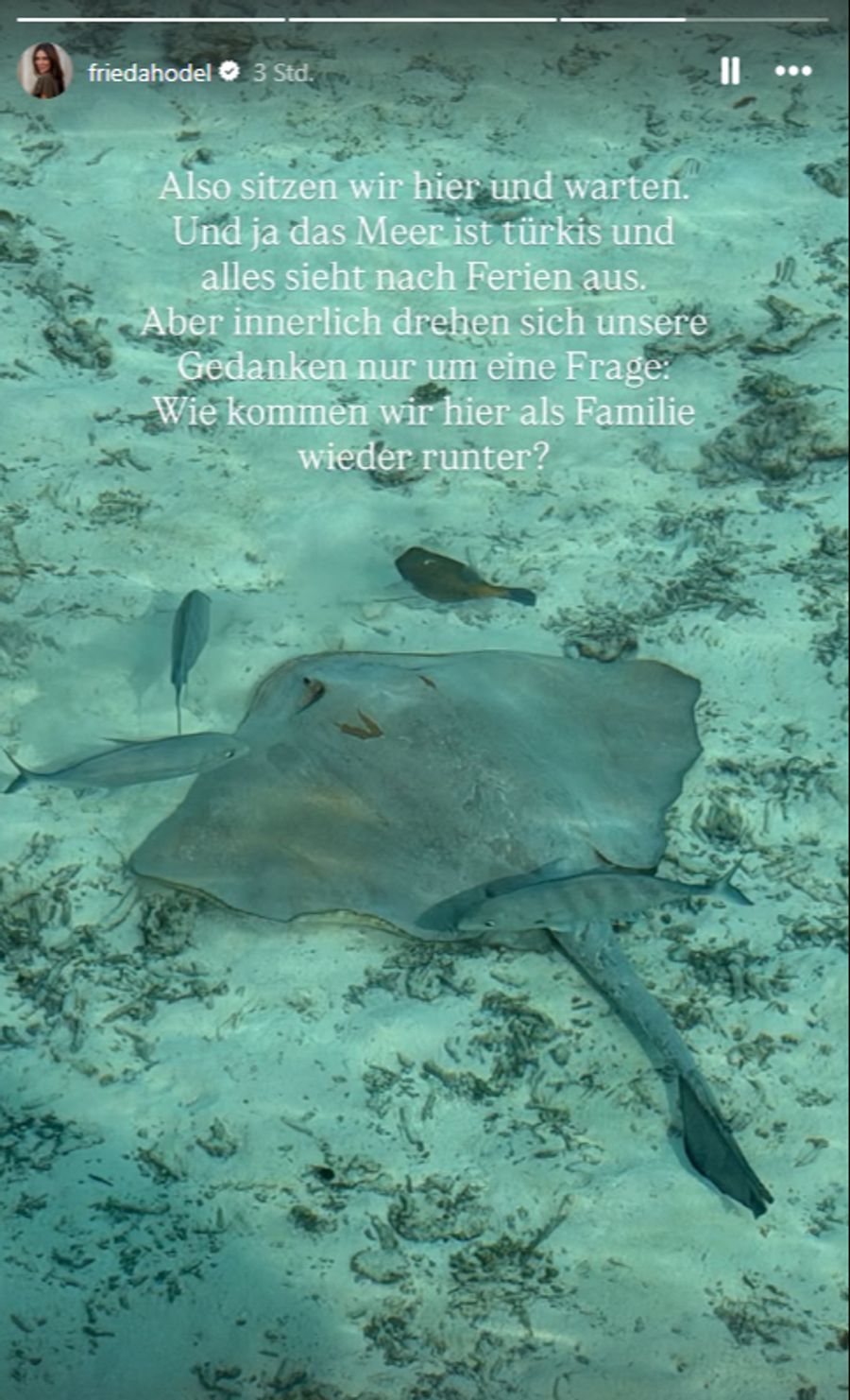 Die Familie steht mit der Reiseversicherung und verschiedenen Airlines täglich in Kontakt.