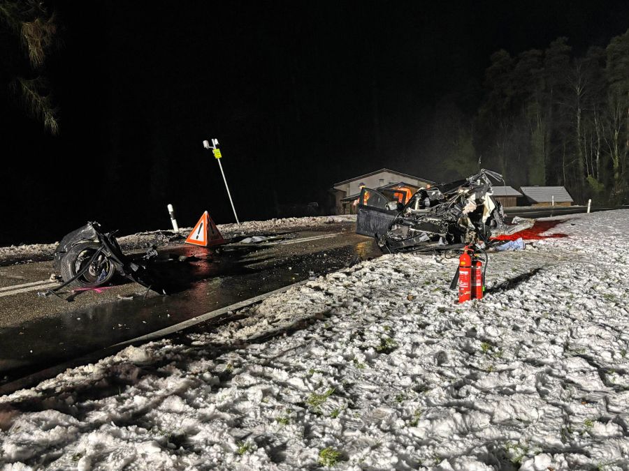 Der Autofahrer wurde schwer verletzt aus dem Fahrzeug befreit.