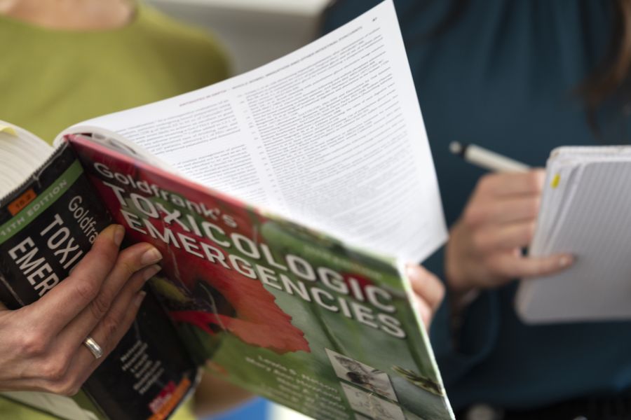 Immer mehr Kinder stossen zu Hause auf giftige Stoffe – oft aus Neugierde.